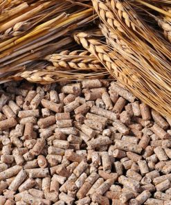 Buğday Yem Karışımı